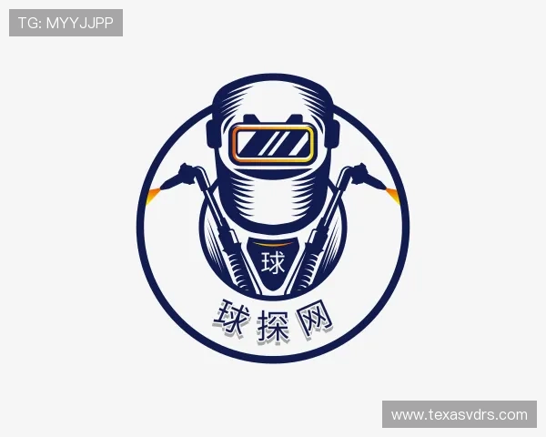 关于球探网